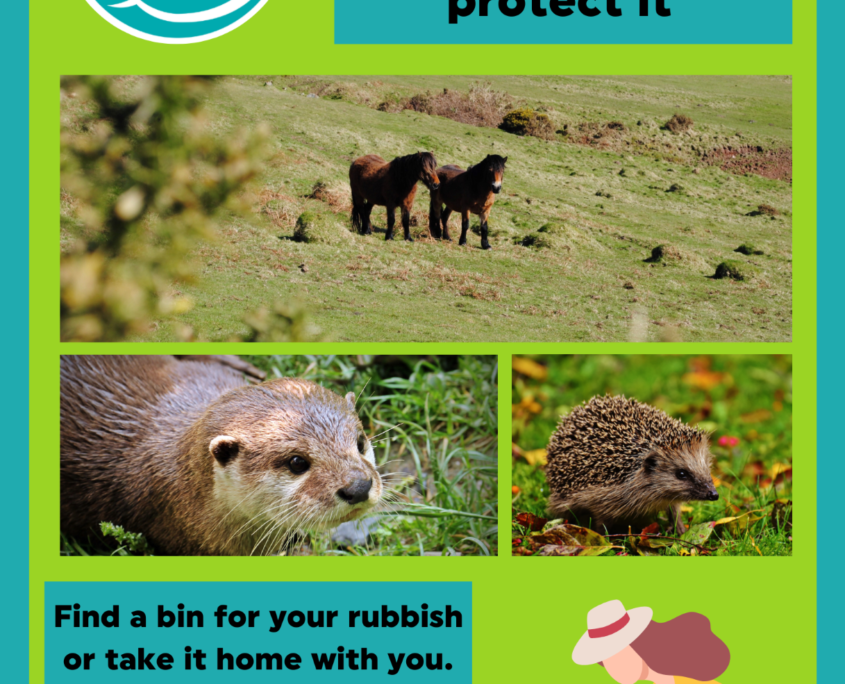 Get involved - Clean Devon